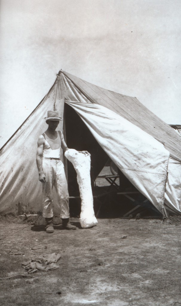 Jacketed femur in front of tent