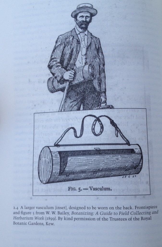 A larger vasculum for more rigorous field collecting. 