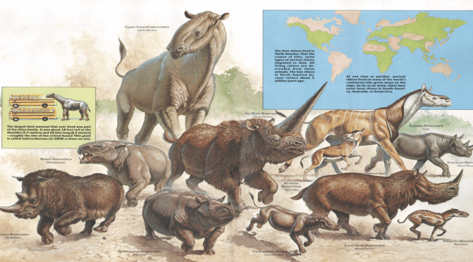 Zoobooks